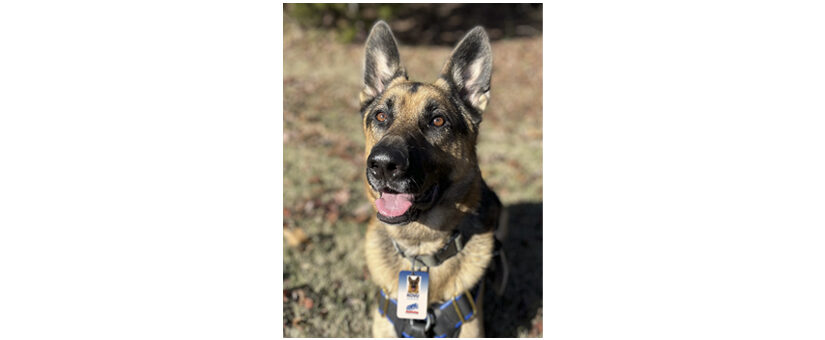 COPS Monitoring Welcomes K9 Assistant to Workforce